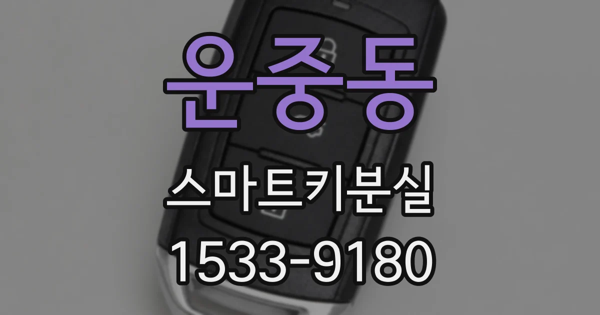 운중동 스마트키분실