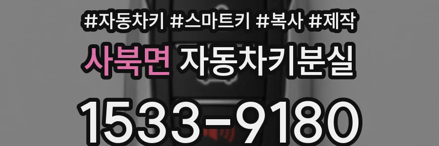 사북면 자동차키분실