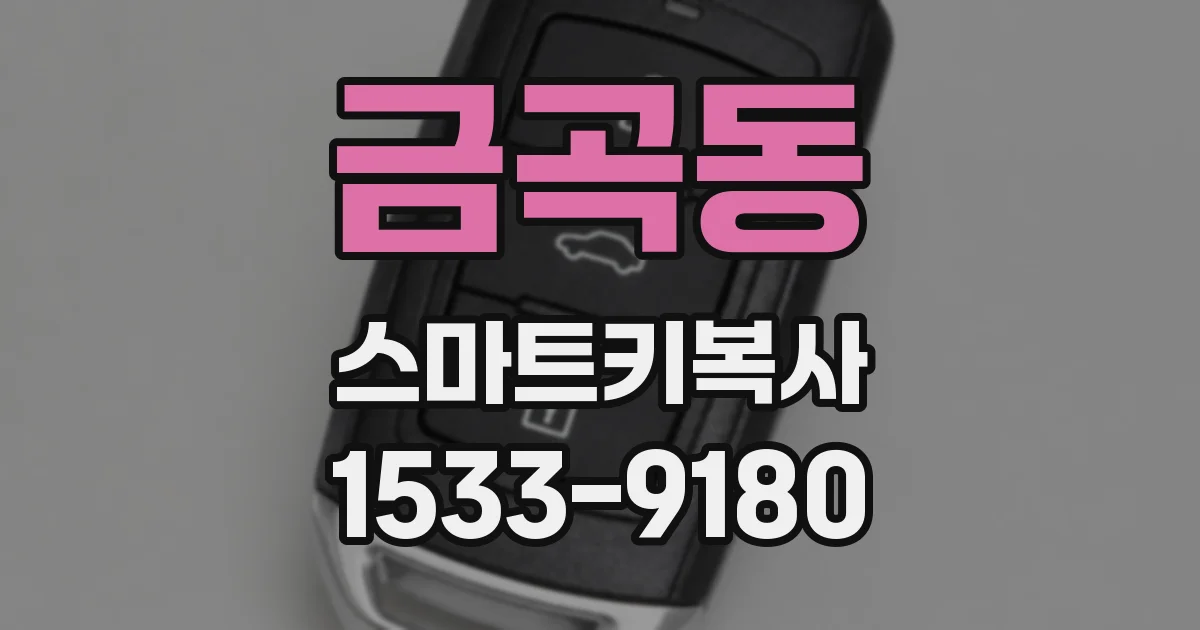 금곡동 스마트키복사