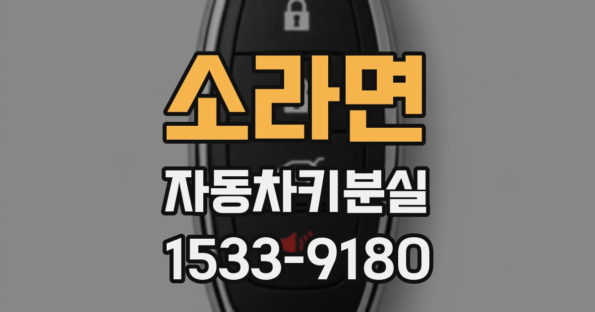 소라면 자동차키분실