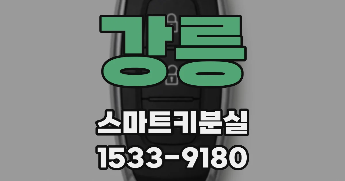 강릉 스마트키분실