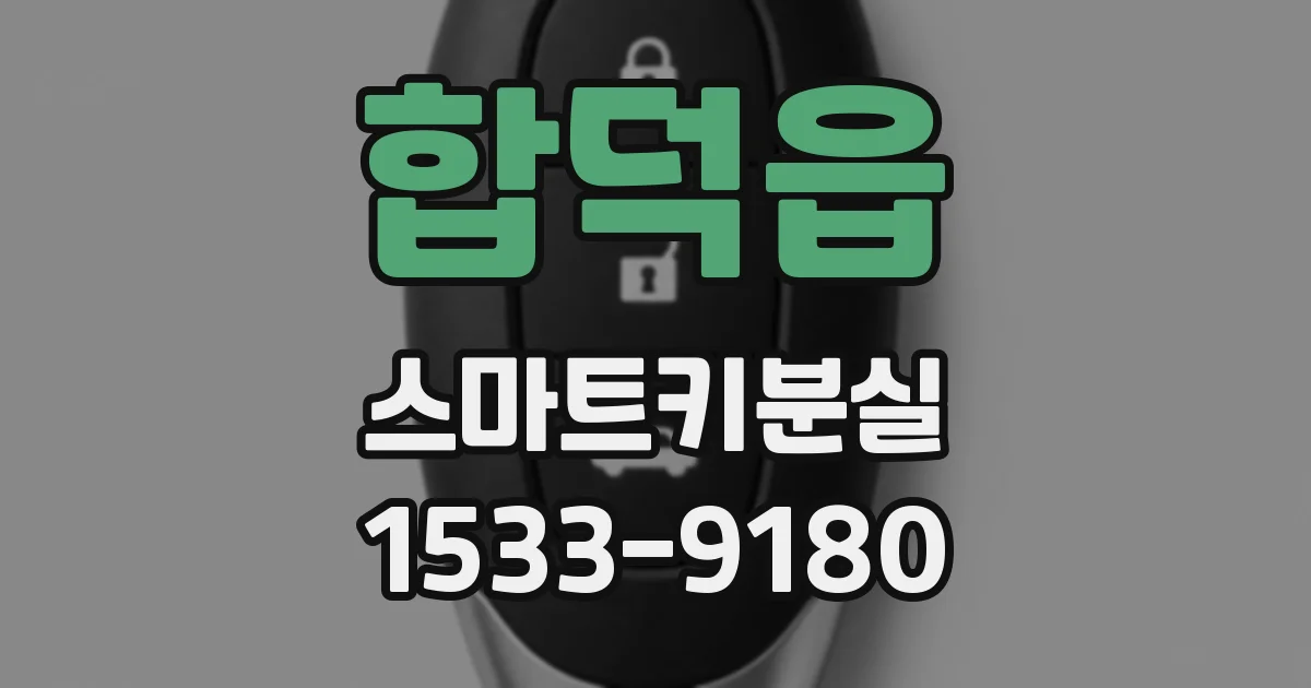 합덕읍 스마트키분실