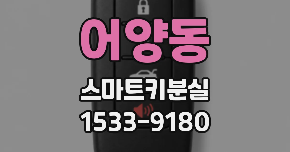 어양동 스마트키분실