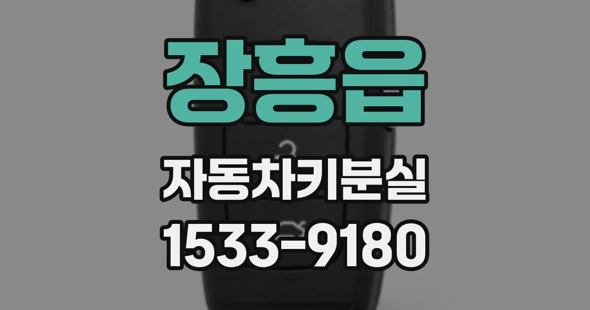 장흥읍 자동차키분실