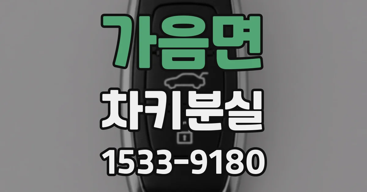 가음면 차키분실