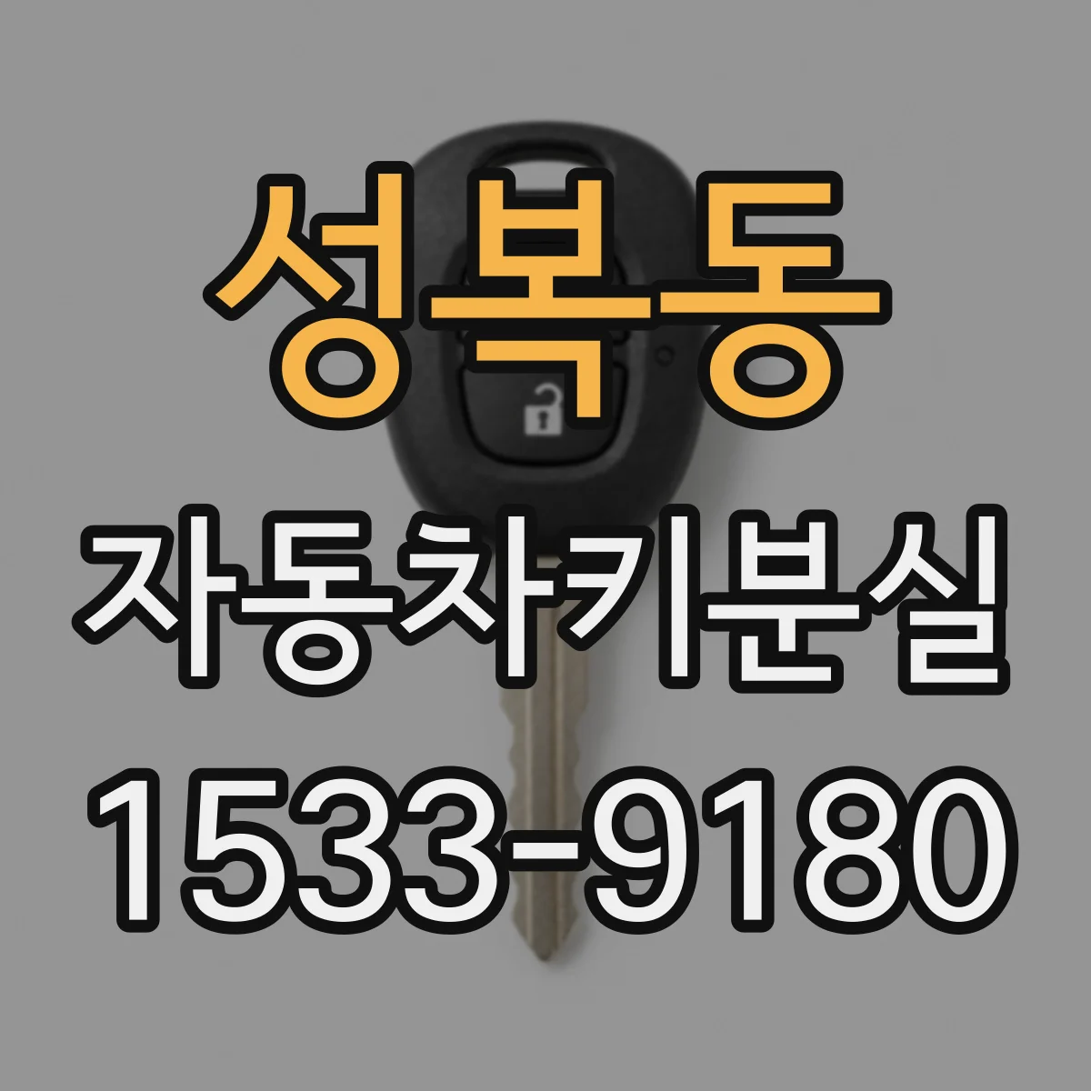 성복동 자동차키분실