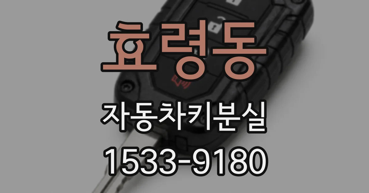 효령동 자동차키분실