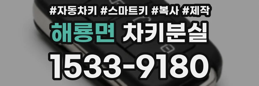 해룡면 차키분실