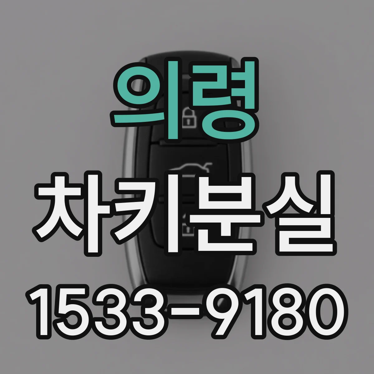 의령 차키분실