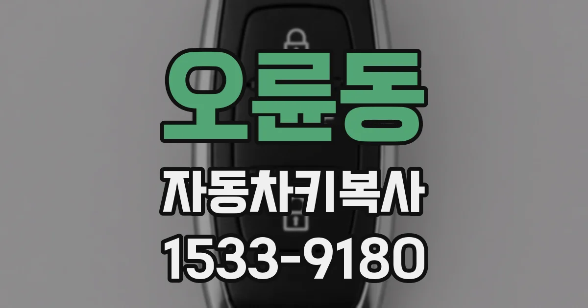 오륜동 자동차키복사