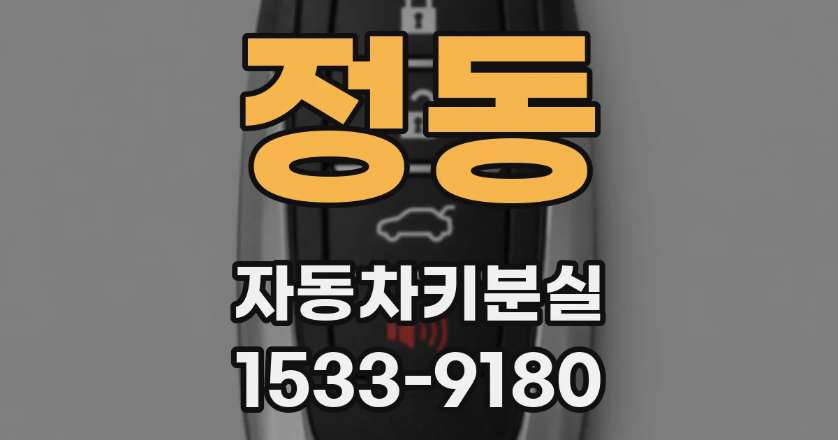 정동 자동차키분실