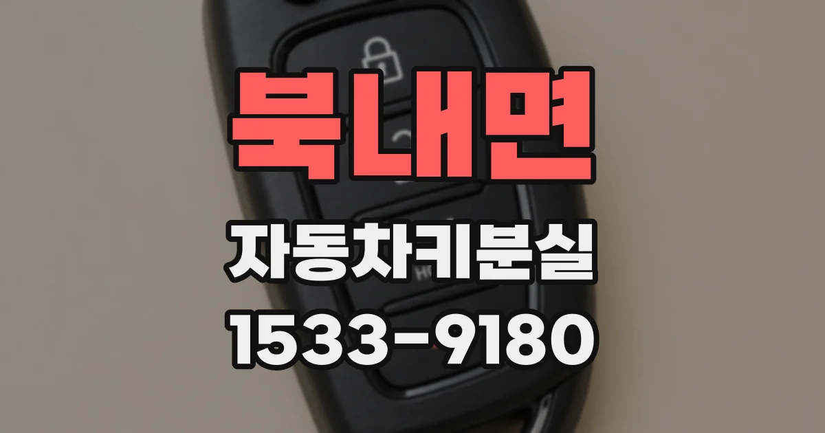 북내면 자동차키분실