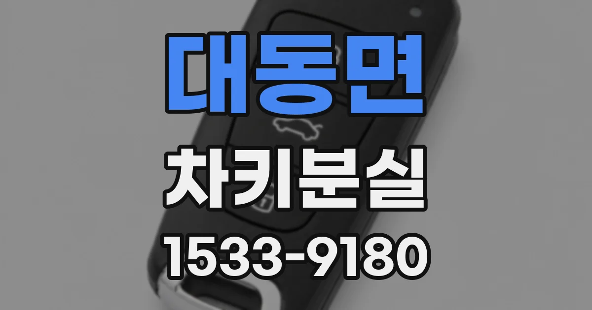 대동면 차키분실