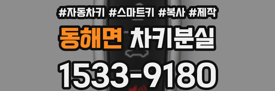 동해면 차키분실