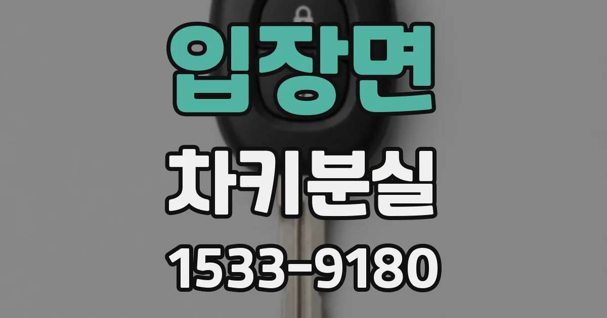 입장면 차키분실