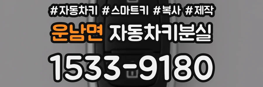 운남면 자동차키분실