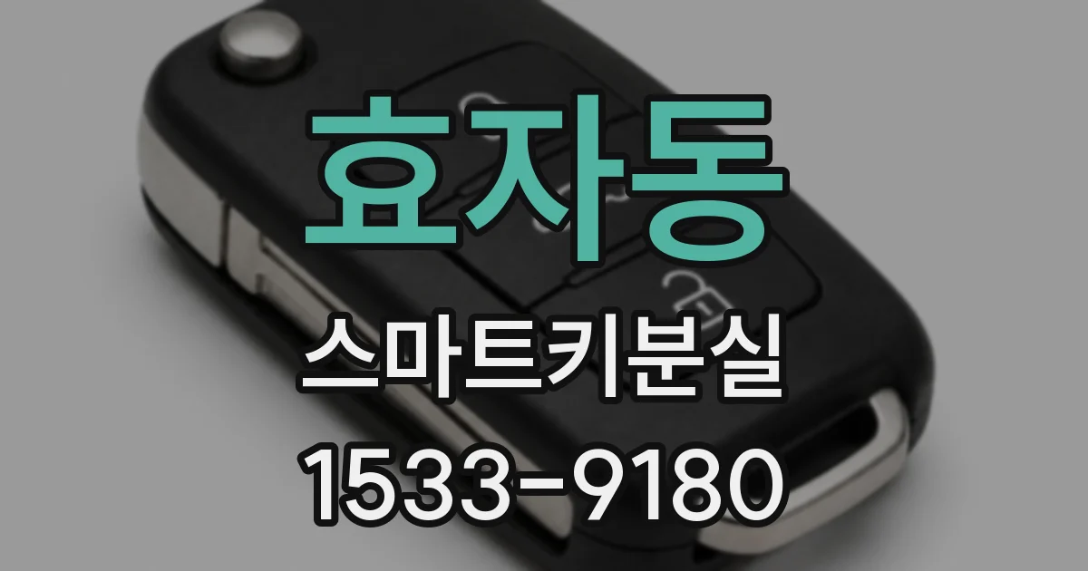 효자동 스마트키분실