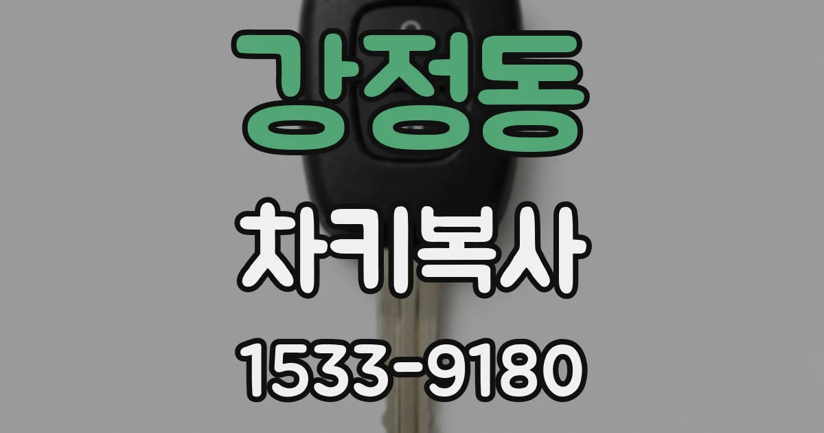 강정동 차키복사
