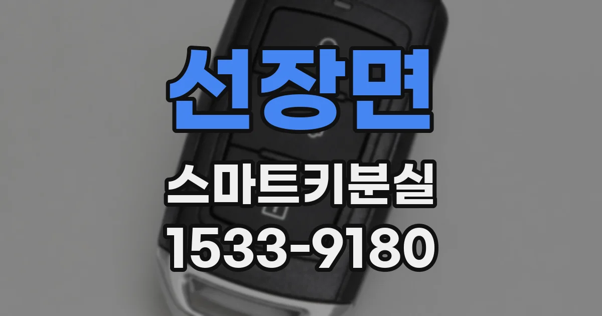 선장면 스마트키분실