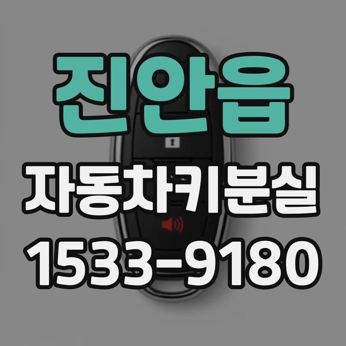 진안읍 자동차키분실