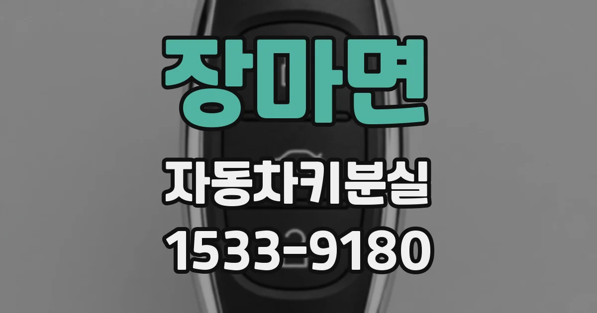 장마면 자동차키분실