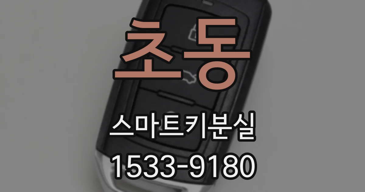 초동 스마트키분실