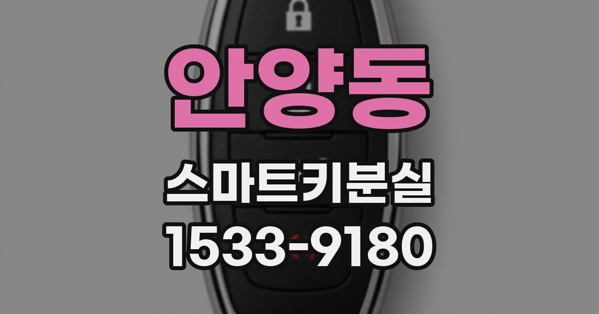 안양동 스마트키분실