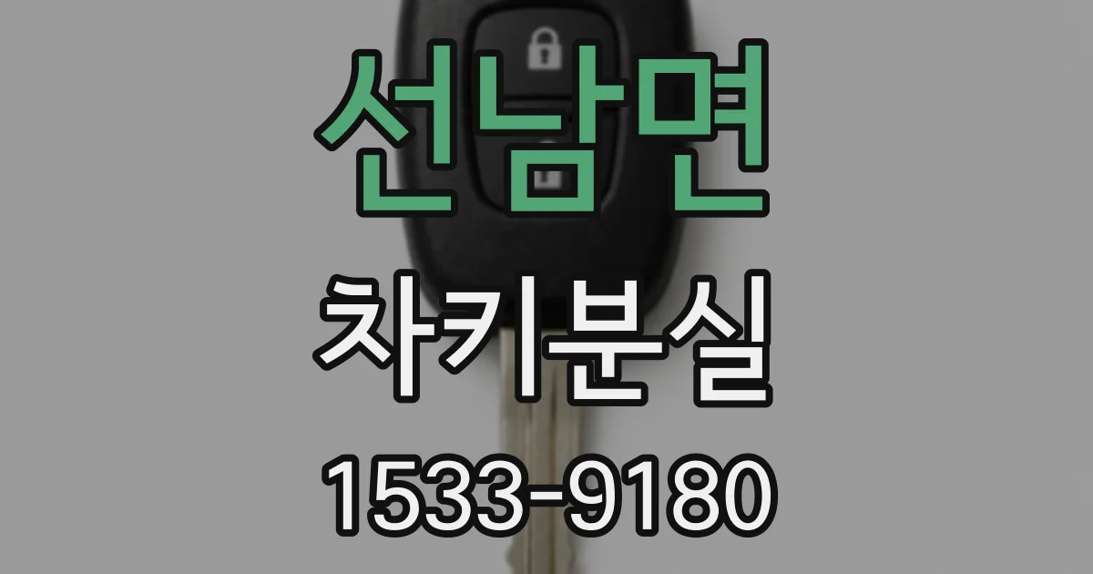 선남면 차키분실