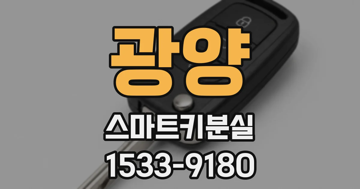 광양 스마트키분실
