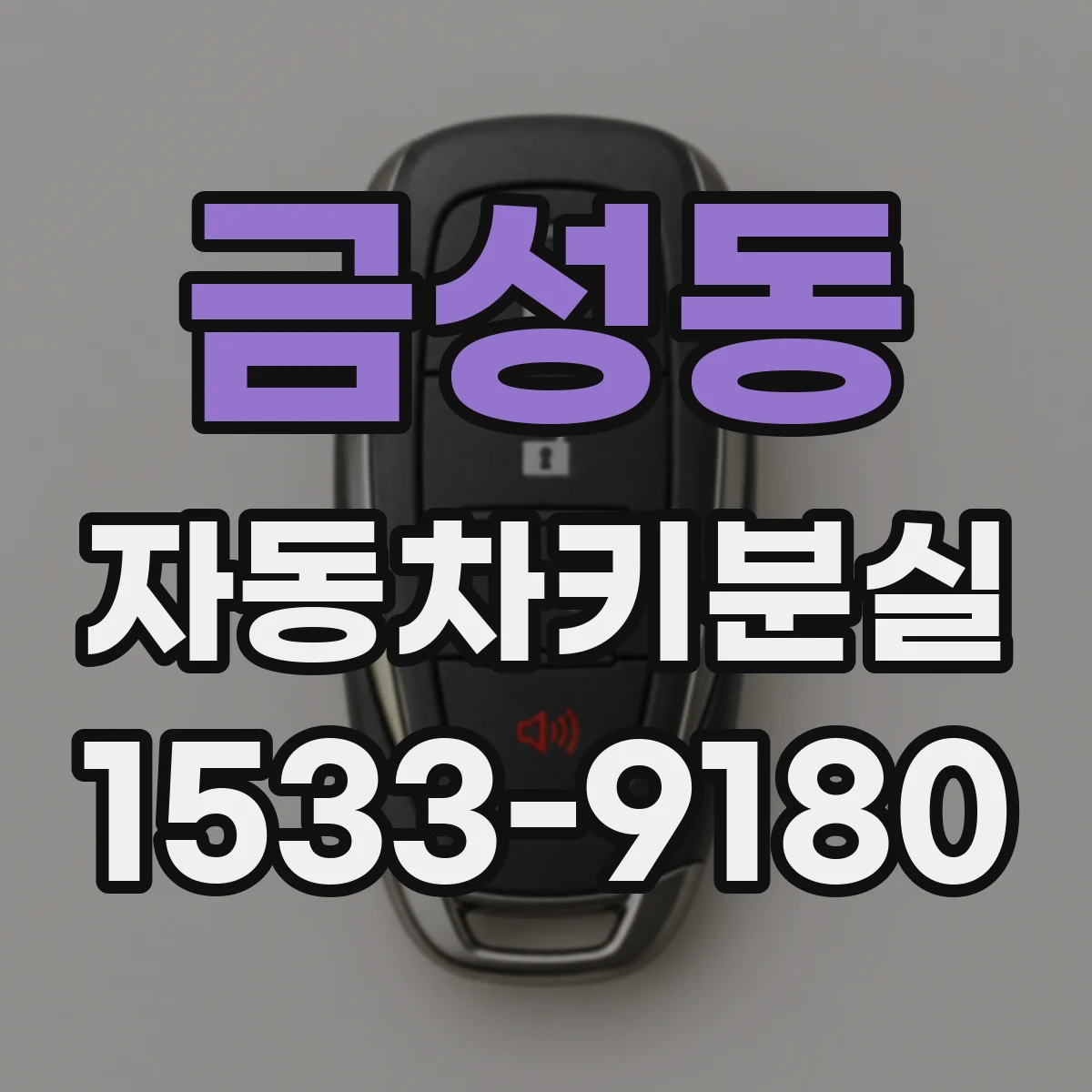 금성동 자동차키분실