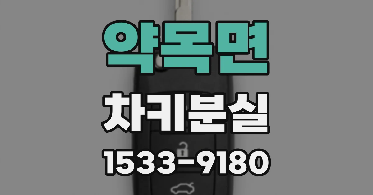 약목면 차키분실