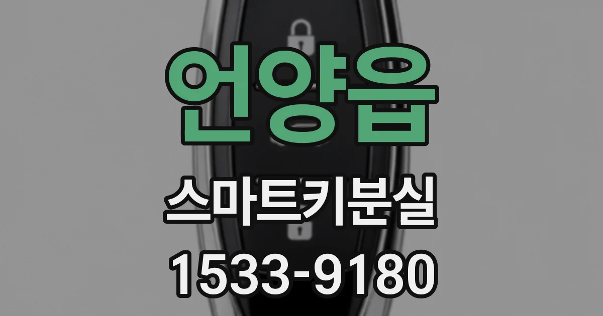 언양읍 스마트키분실