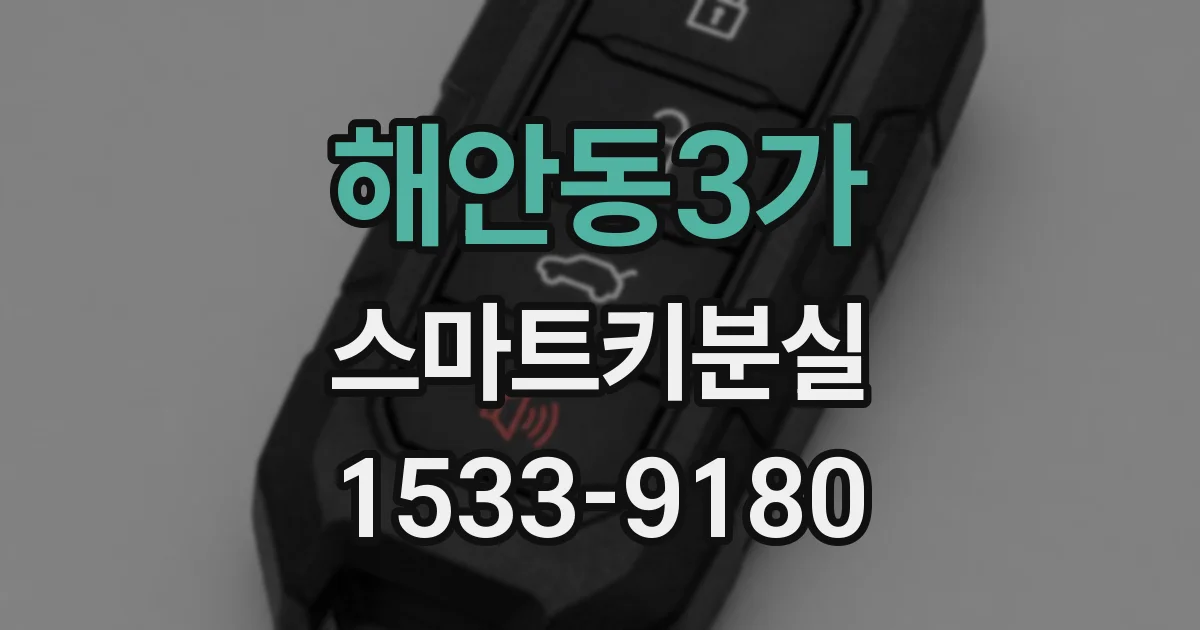 해안동3가 스마트키분실