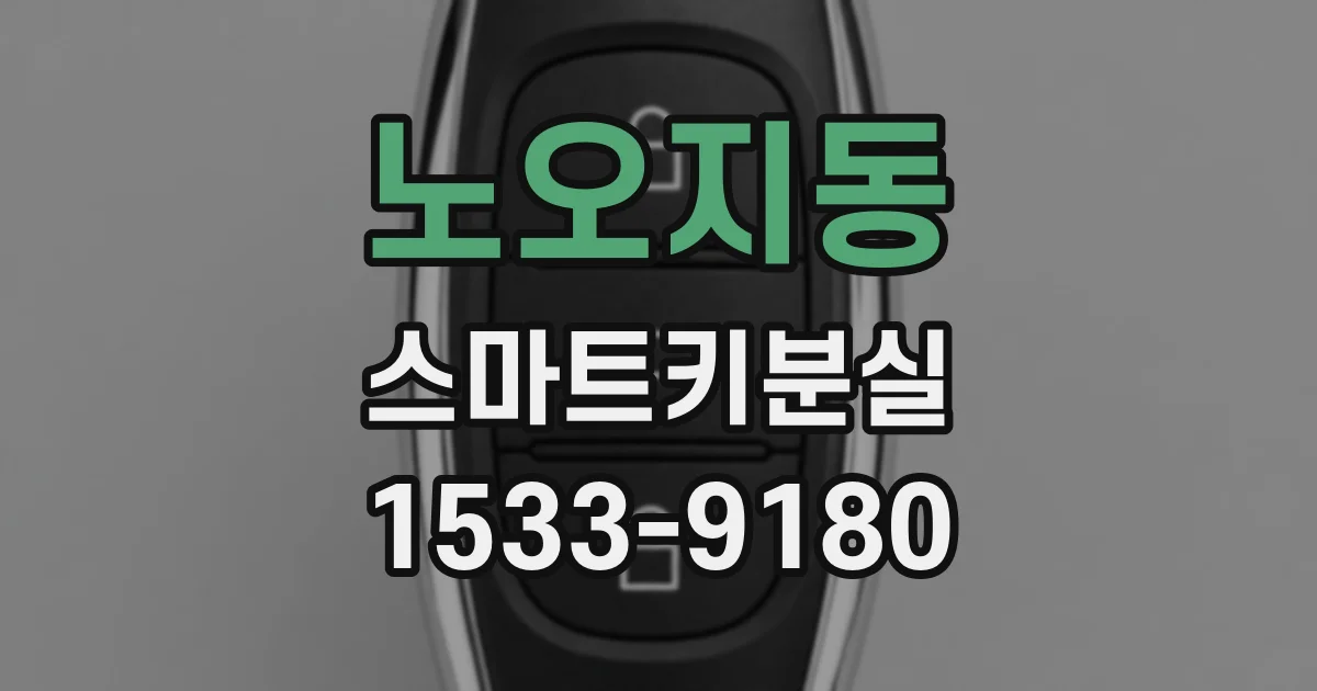노오지동 스마트키분실