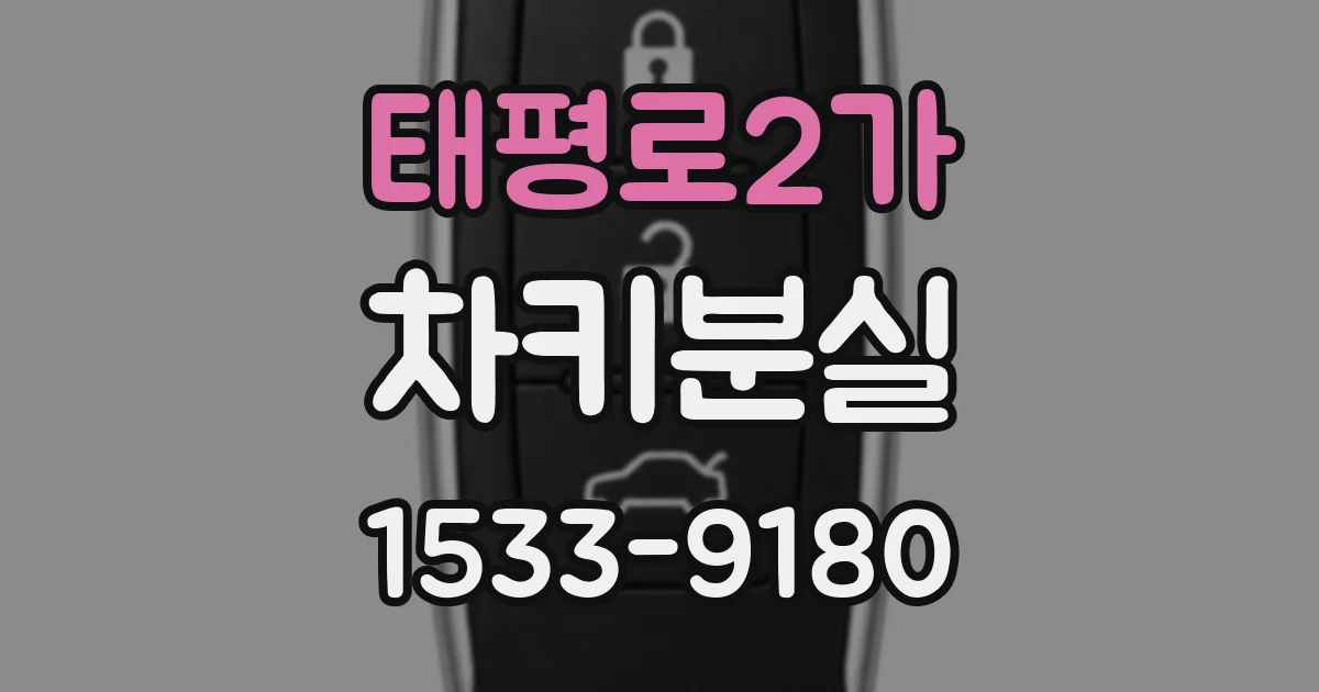 태평로2가 차키분실