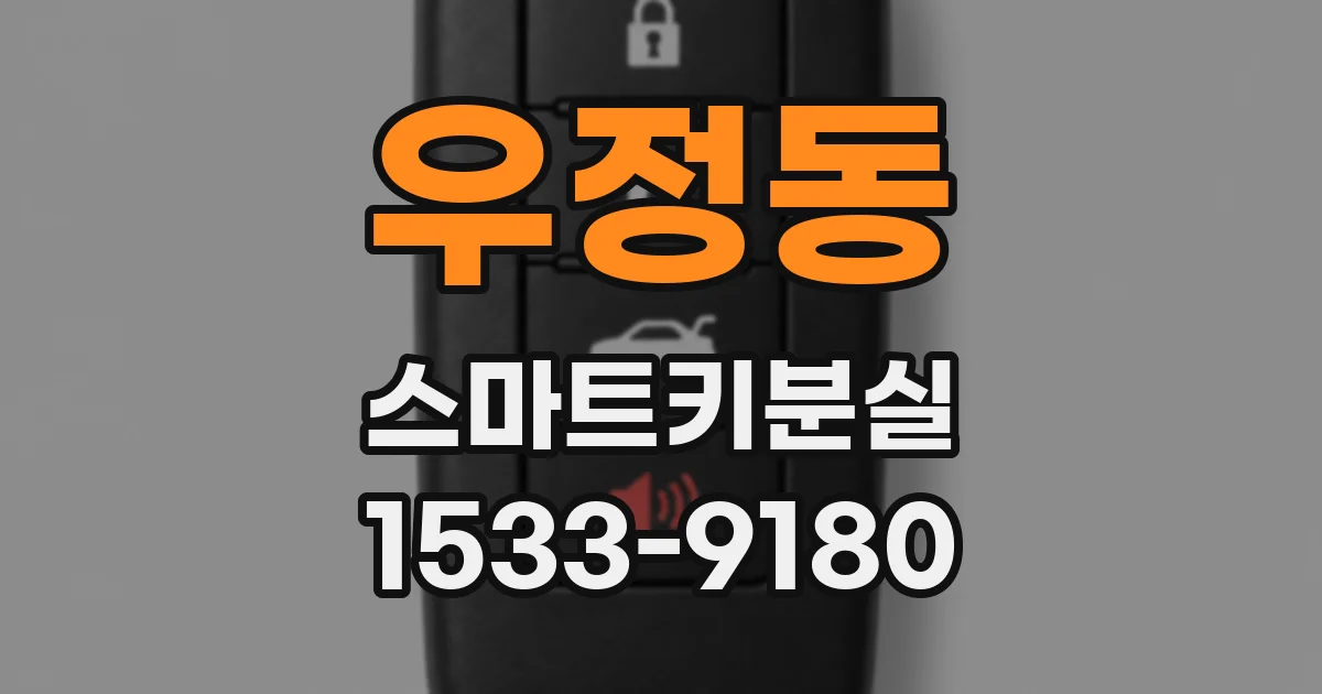 우정동 스마트키분실