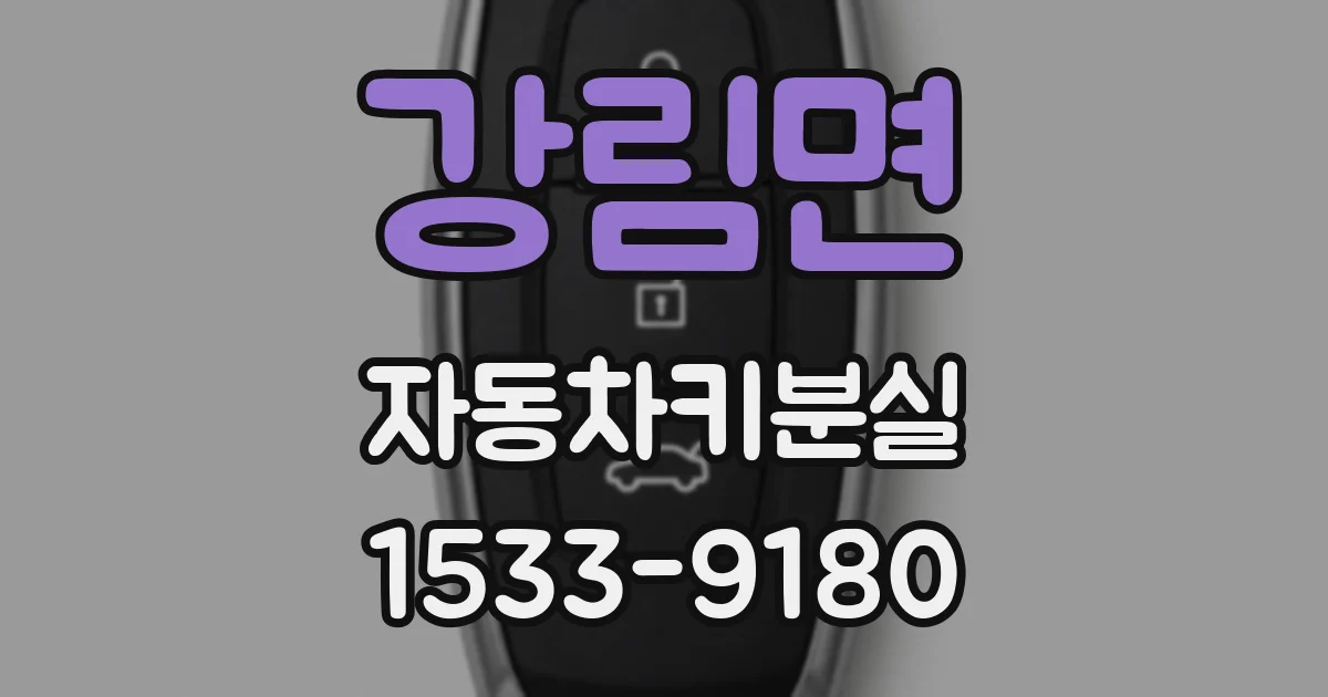 강림면 자동차키분실