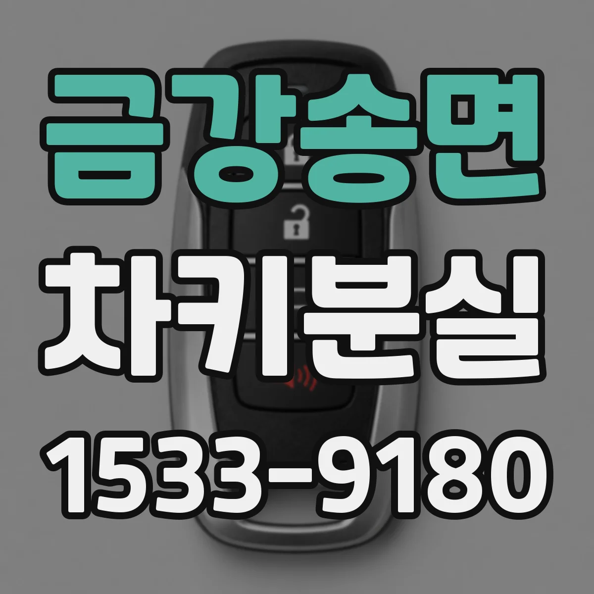 금강송면 차키분실