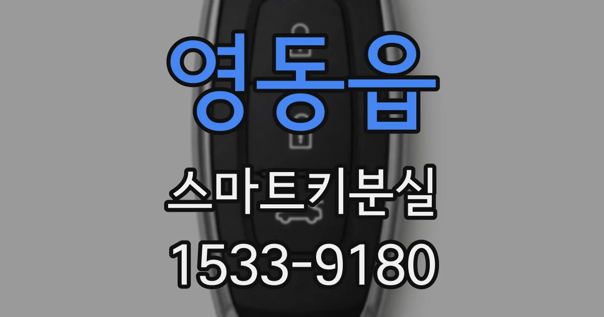 영동읍 스마트키분실