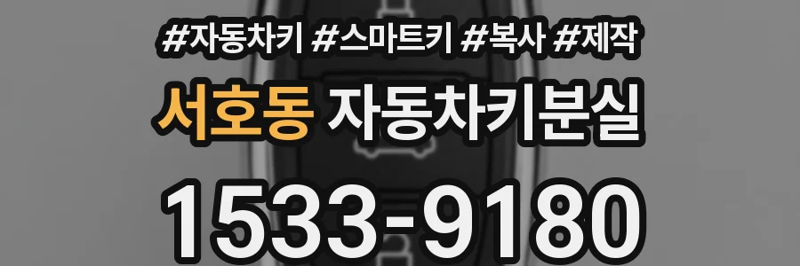 서호동 자동차키분실