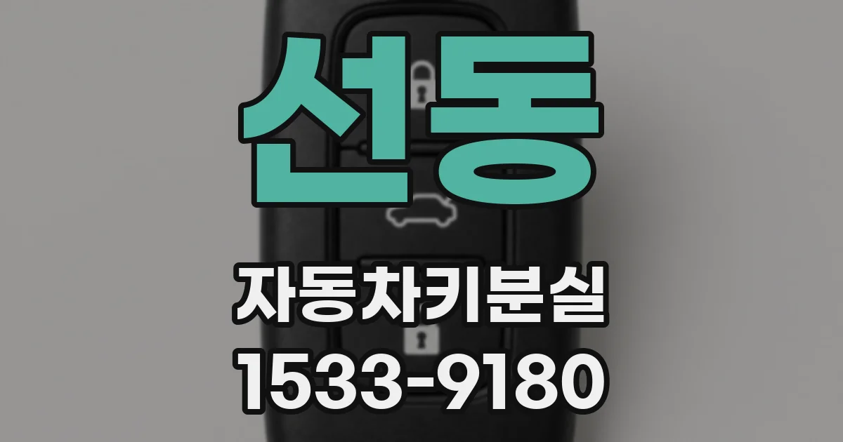 선동 자동차키분실