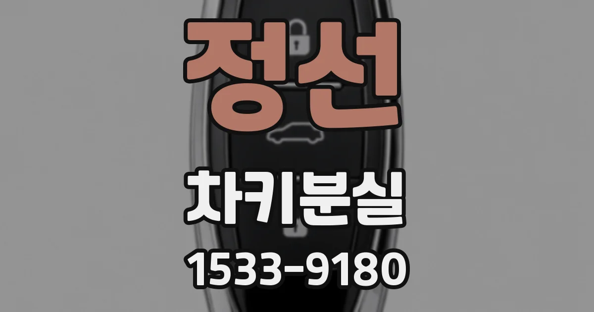 정선 차키분실