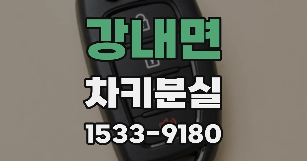 강내면 차키분실