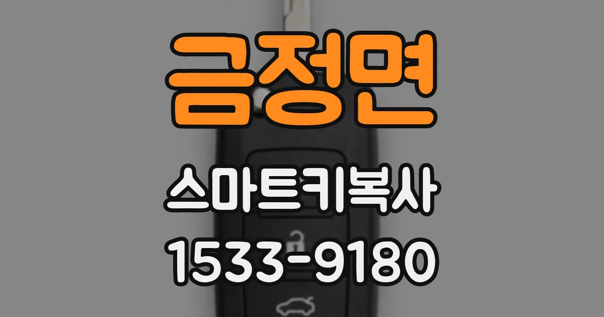 금정면 스마트키복사