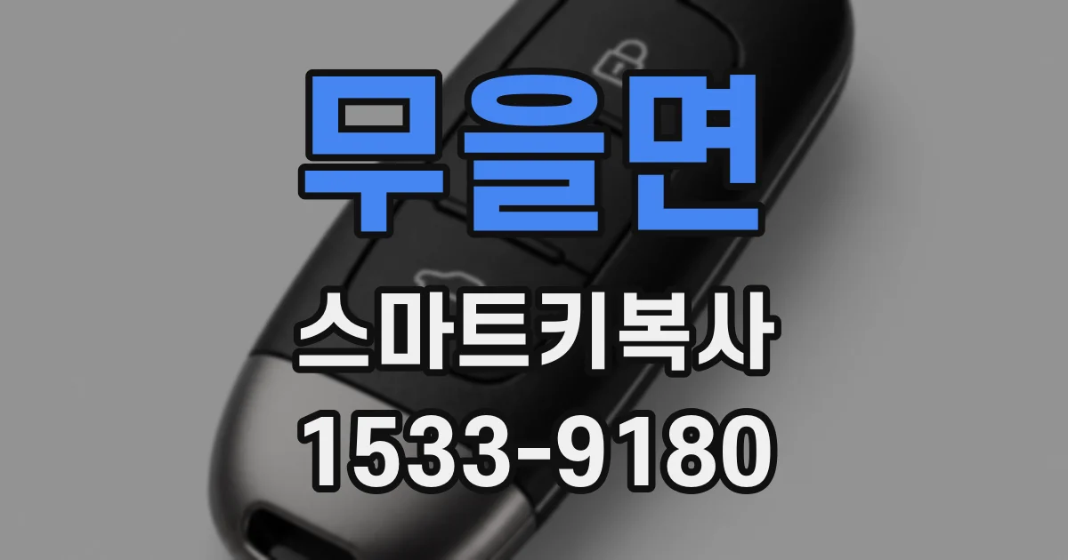 무을면 스마트키복사