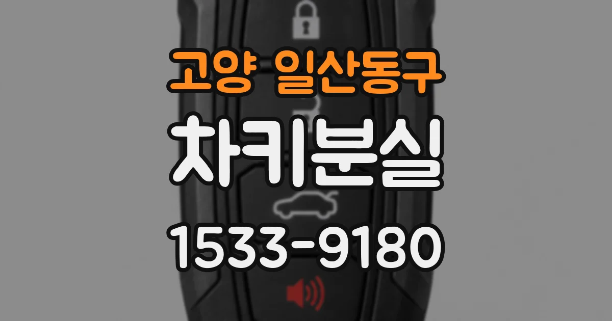 고양 일산동구 차키분실
