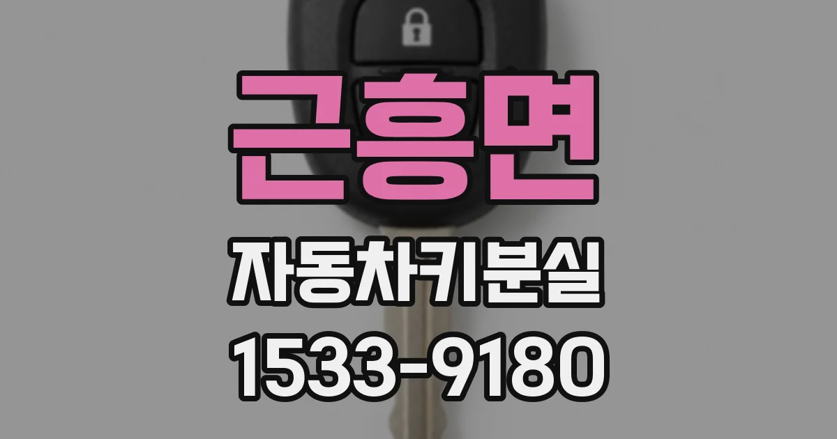 근흥면 자동차키분실