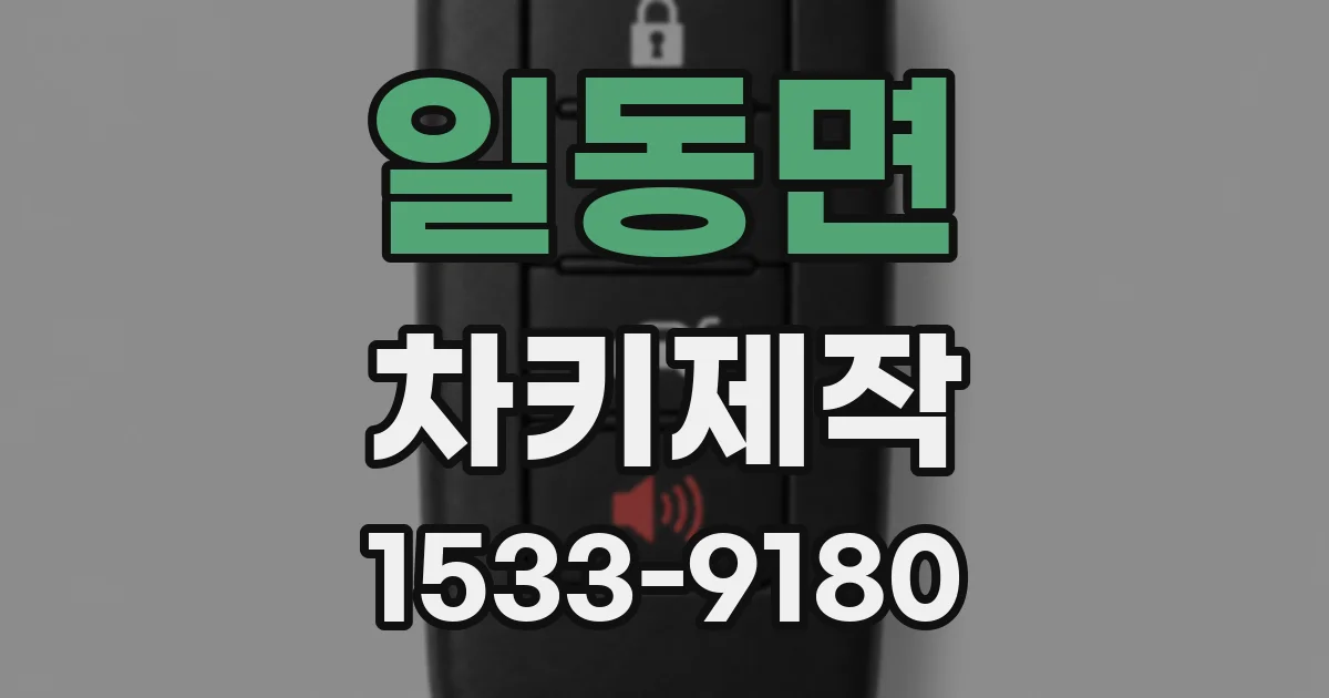 일동면 차키제작