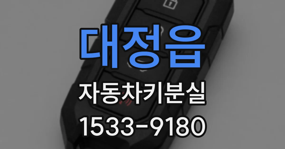 대정읍 자동차키분실
