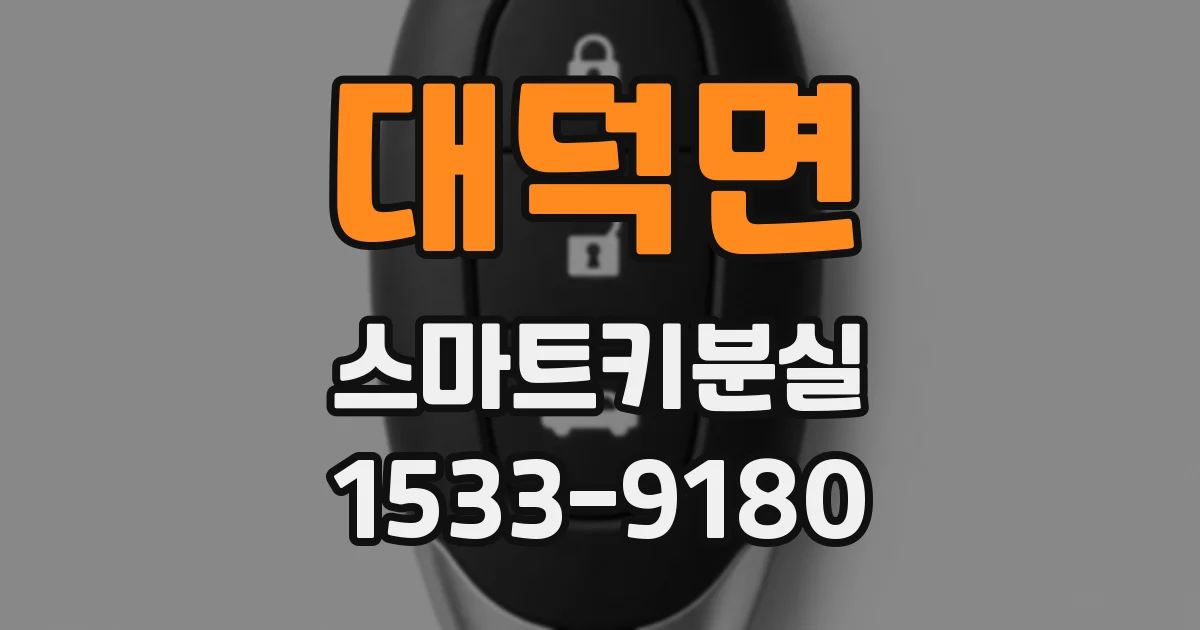 대덕면 스마트키분실